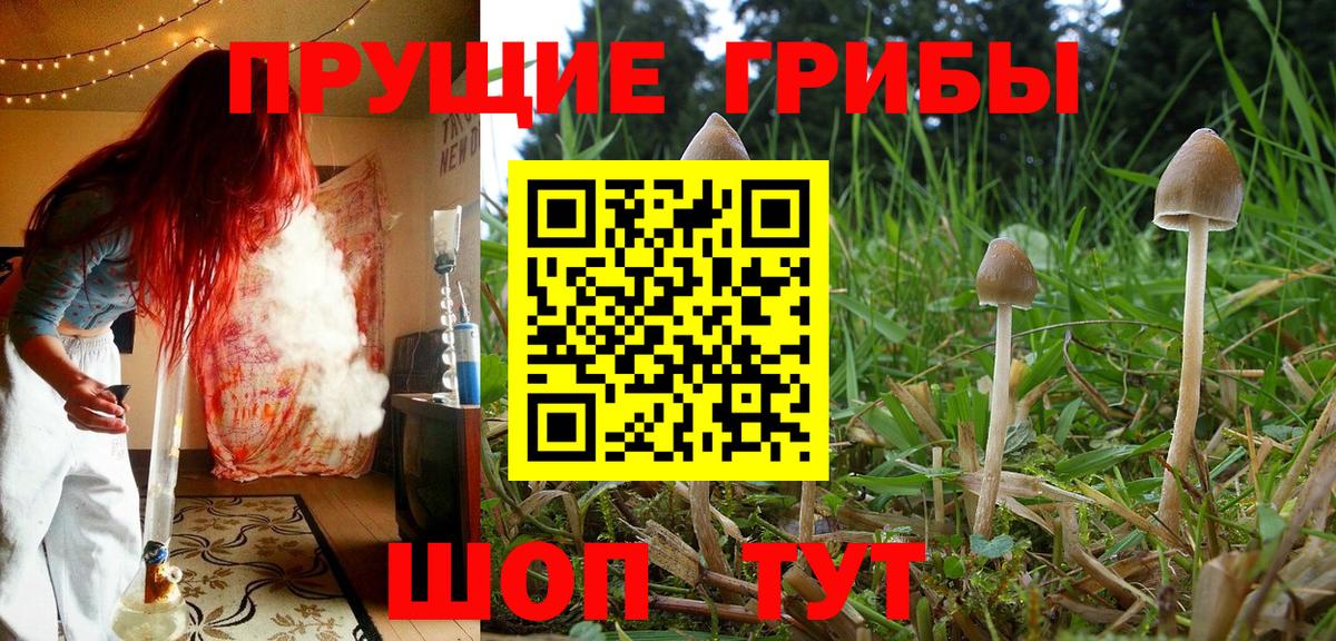 Галлюциногенные грибы ЛСД  Галлюциногенные грибы GOLDEN TEACHER  Ангарск  Вход с VPN 